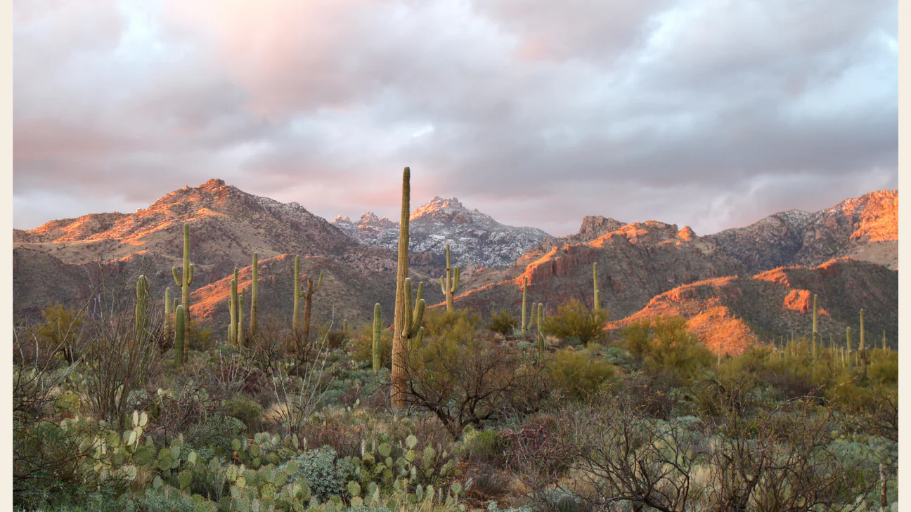Wear the Spirit of the Desert